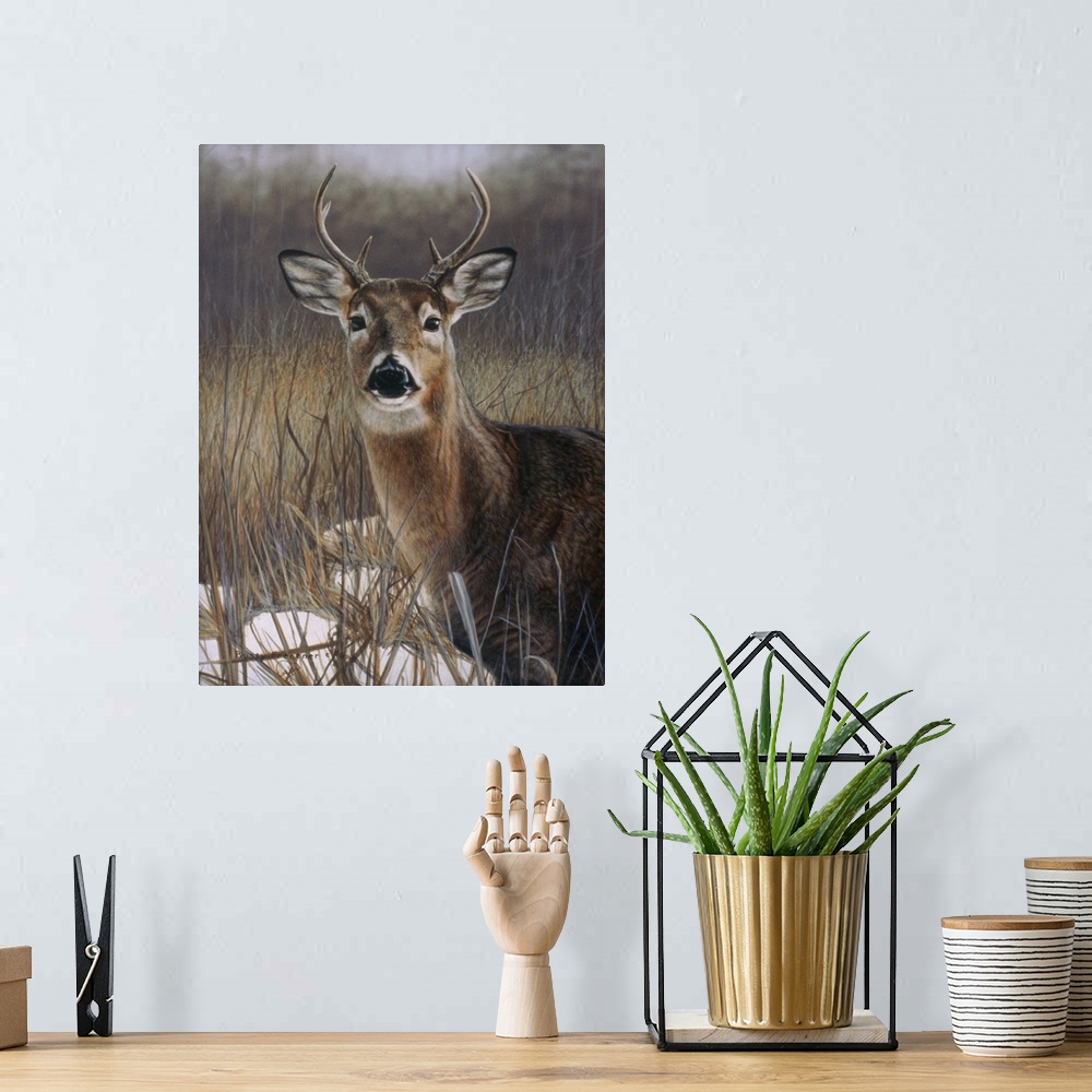 A bohemian room featuring A deer with small horns standing in a field.