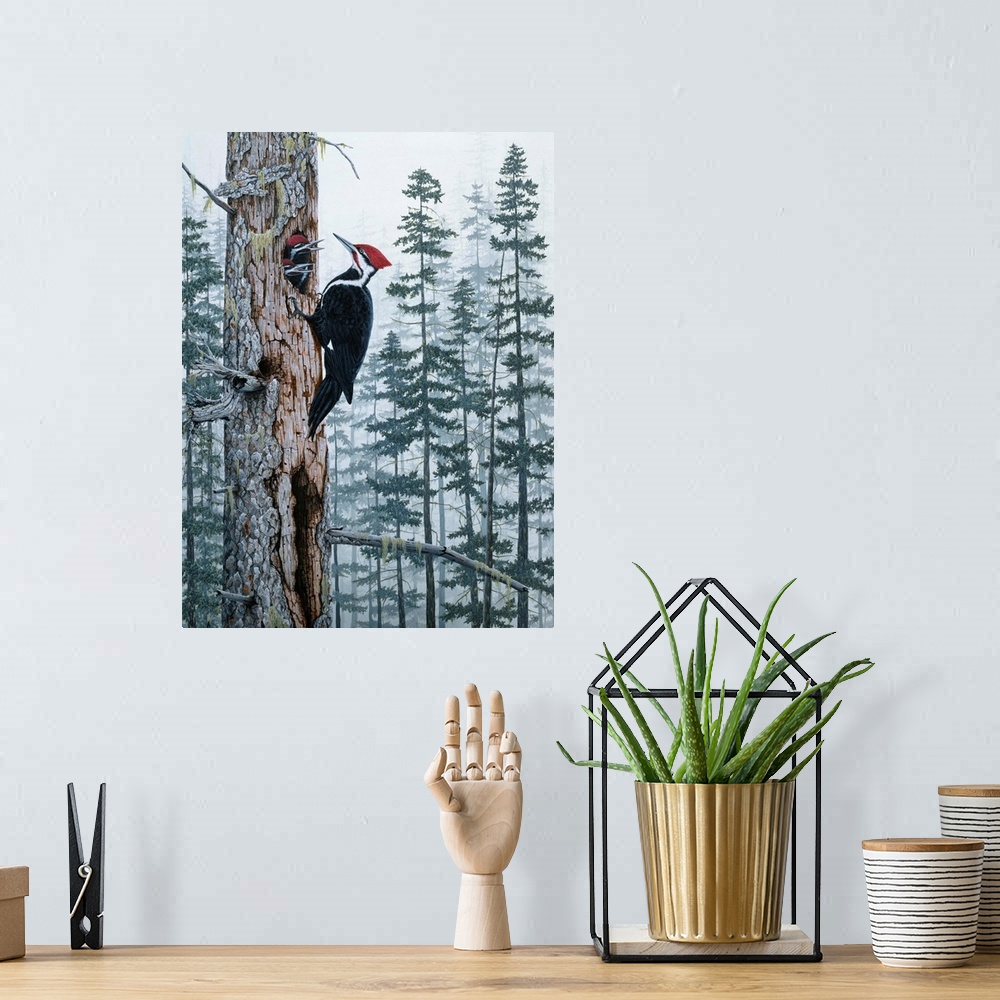 A bohemian room featuring a red headed wood pecker on a dead tree