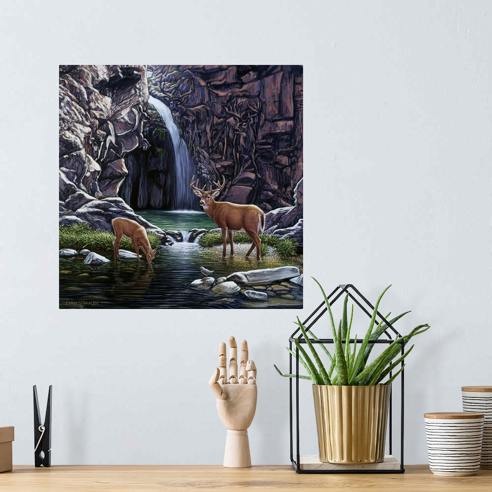A bohemian room featuring Deer drinking from a stream.