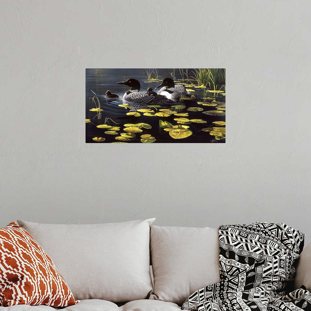 A bohemian room featuring Loon family among the lily pads on a pond.