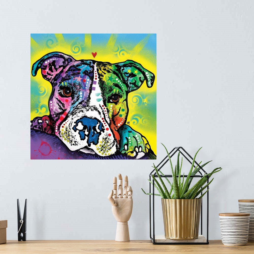 A bohemian room featuring The Baby Pit Bull