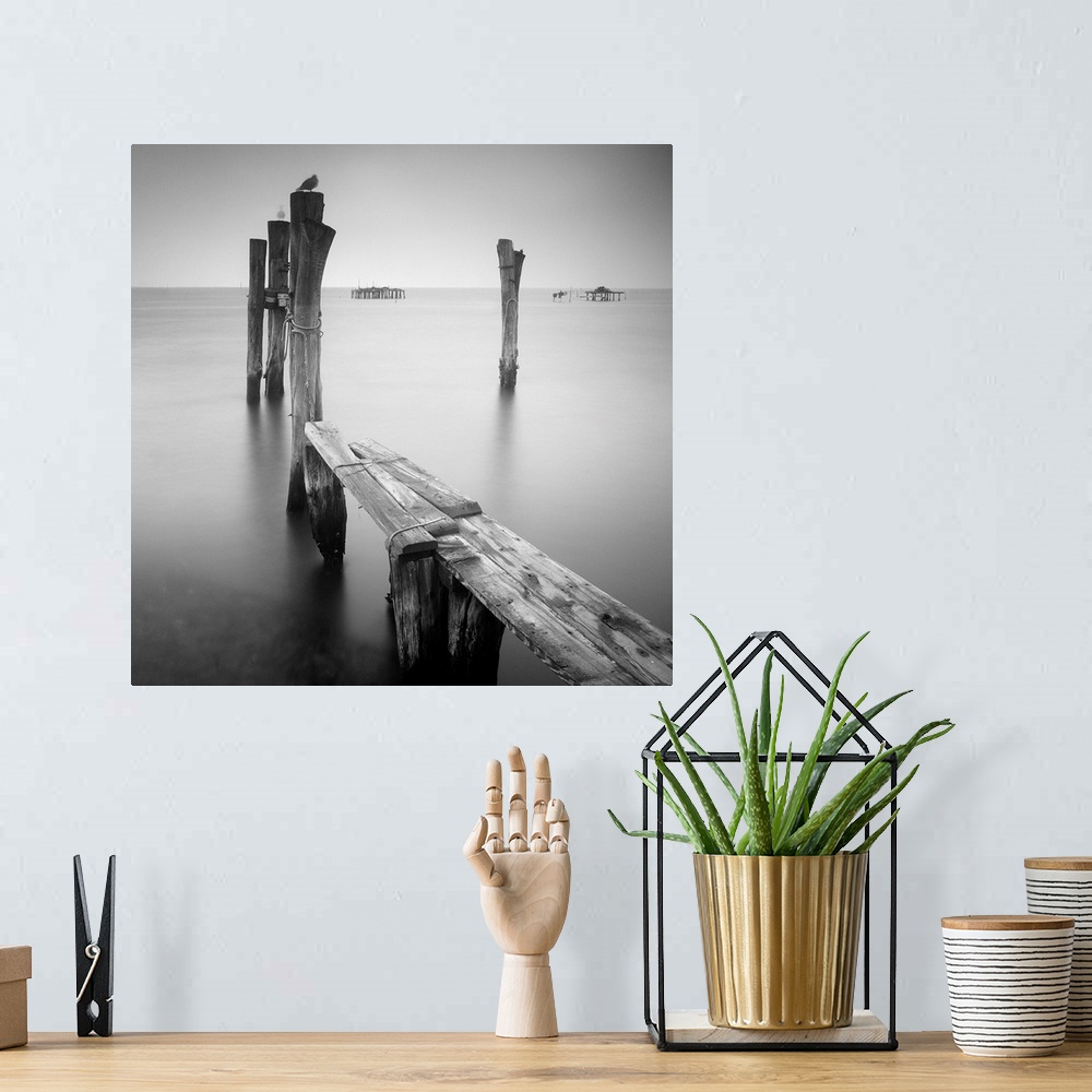 A bohemian room featuring Venice Path, black and white photography