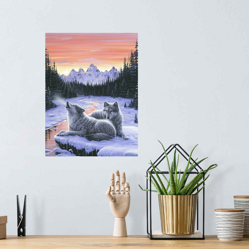 A bohemian room featuring a pair of wolves lying on a snow covered rock over looking a stream with snow covered pines and m...