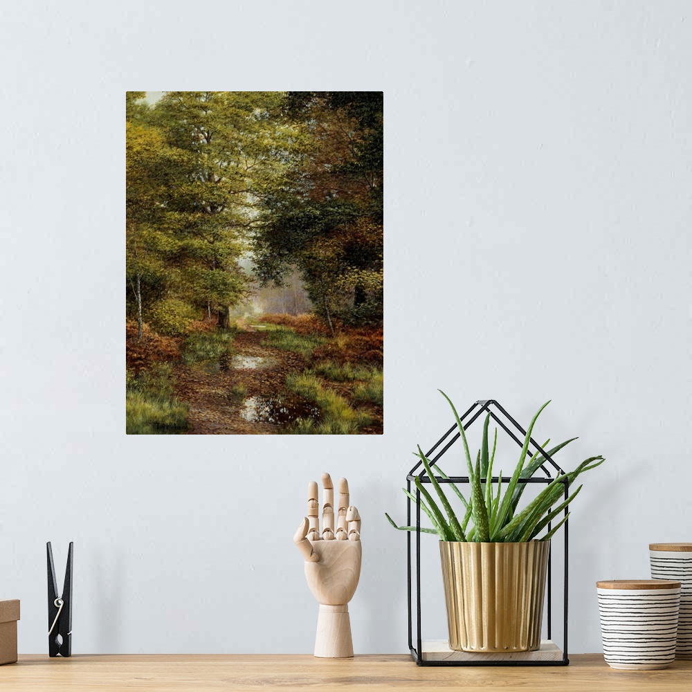 A bohemian room featuring Stream running through woods with leaves floating.