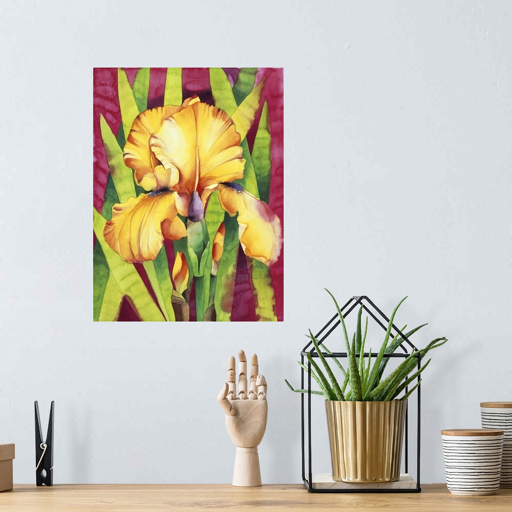 A bohemian room featuring Yellow Iris with Maroon Back