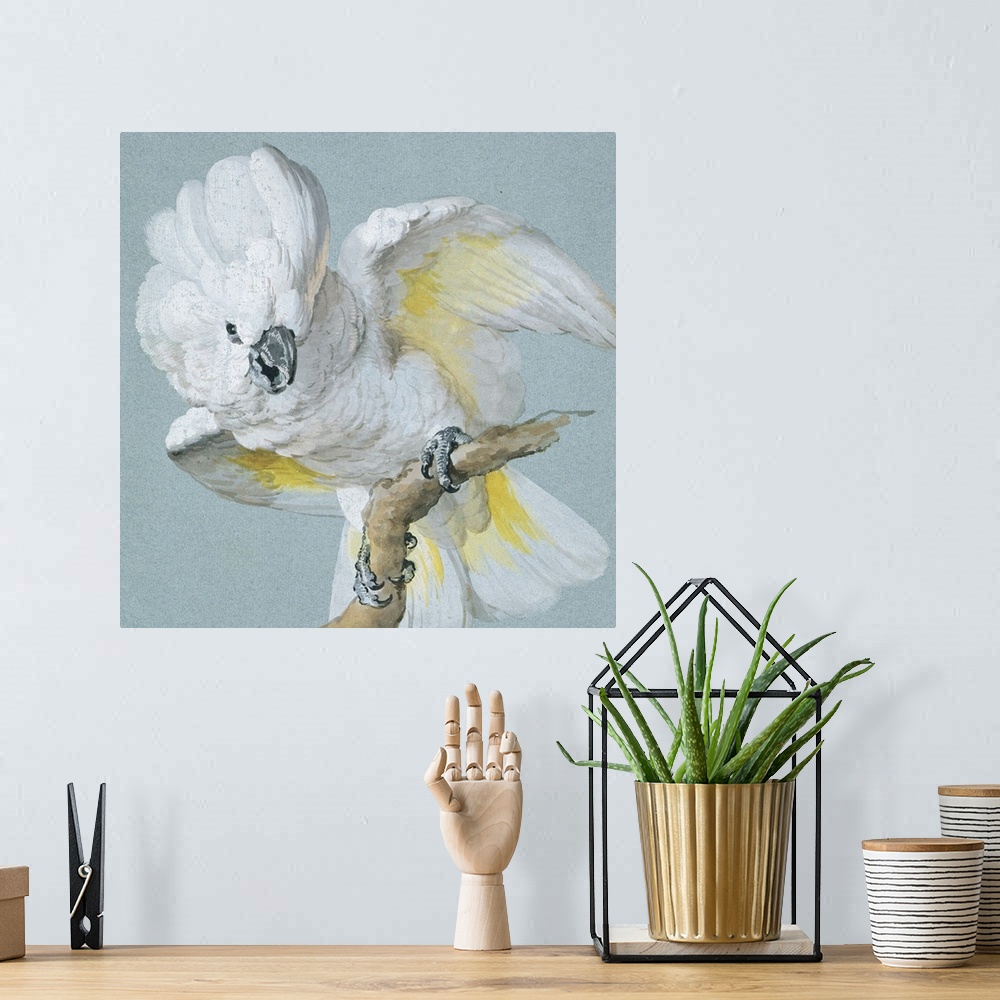A bohemian room featuring A Great White Crested Cockatoo