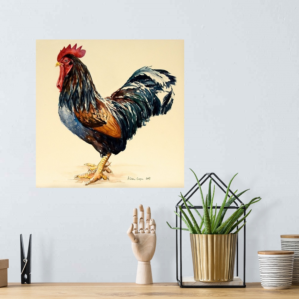 A bohemian room featuring Contemporary painting of a large rooster with dark feathers.