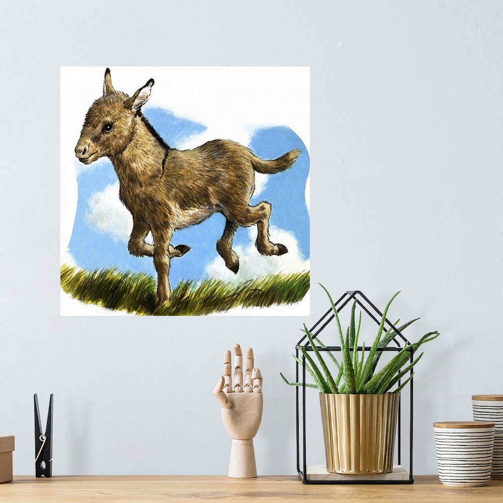 A bohemian room featuring Little Donkey