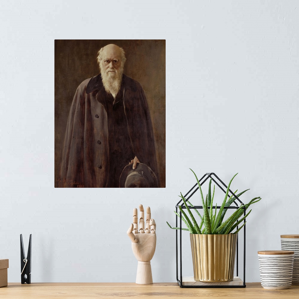 A bohemian room featuring Portrait of Charles Darwin (1809-1882) 1883