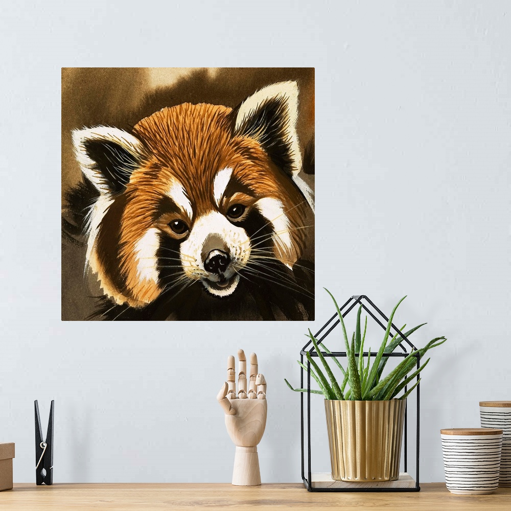 A bohemian room featuring Red Panda