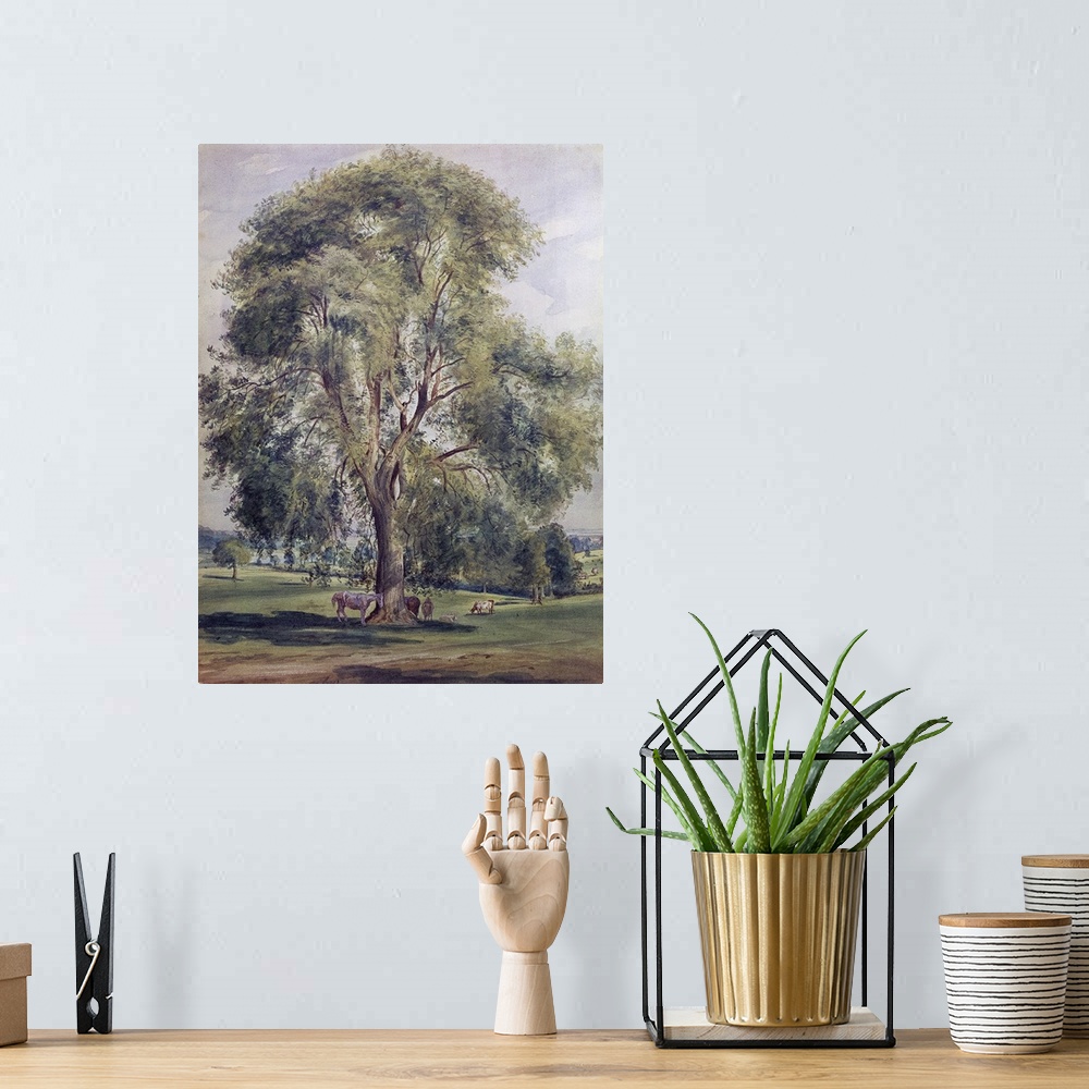 A bohemian room featuring The Tree