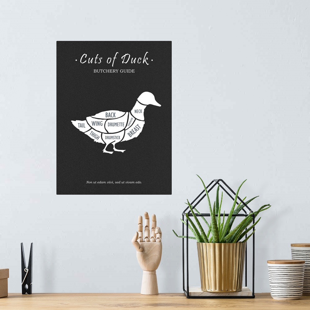 A bohemian room featuring Butchery Duck