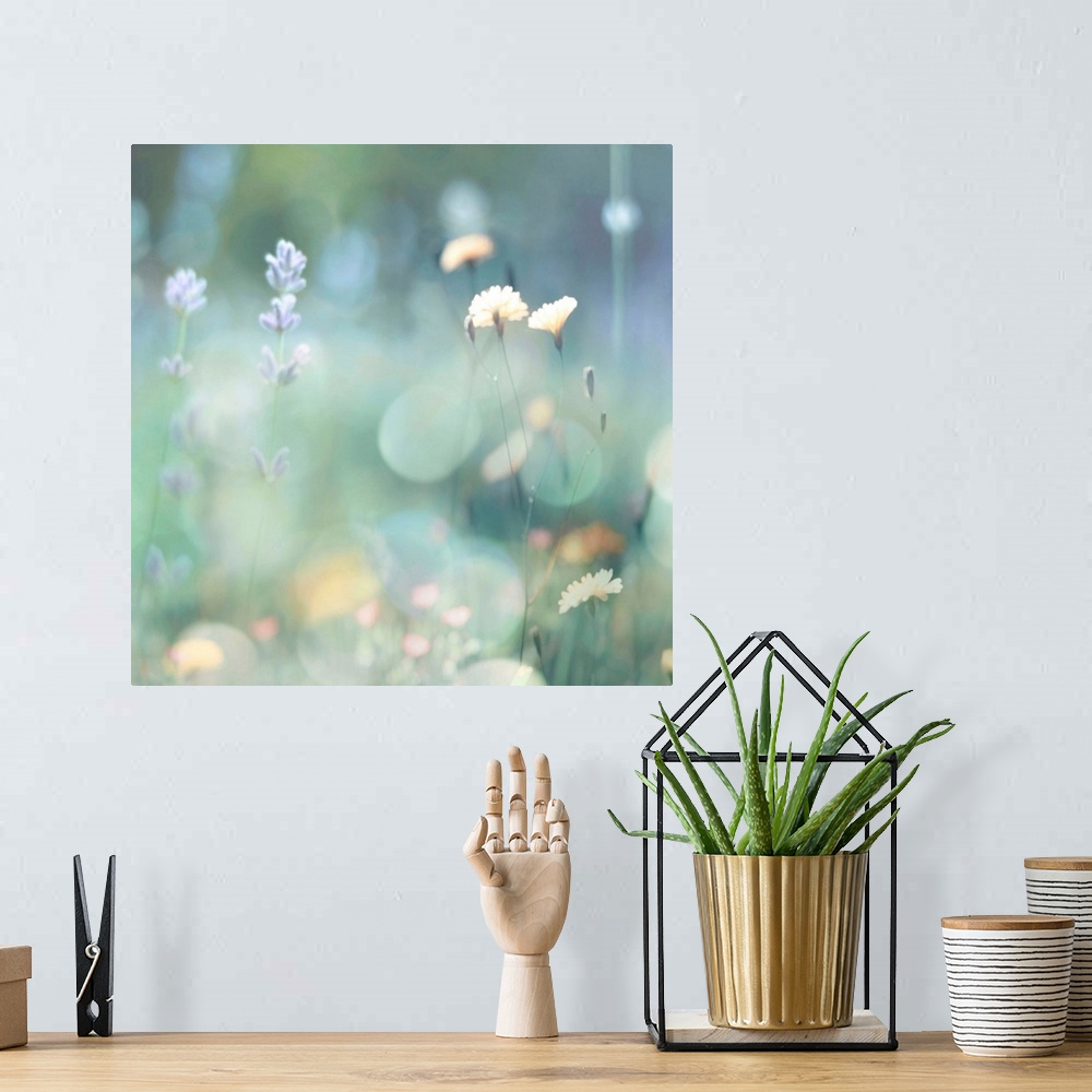 A bohemian room featuring Square photograph of wildflowers in pastel colors with a bokeh effect.