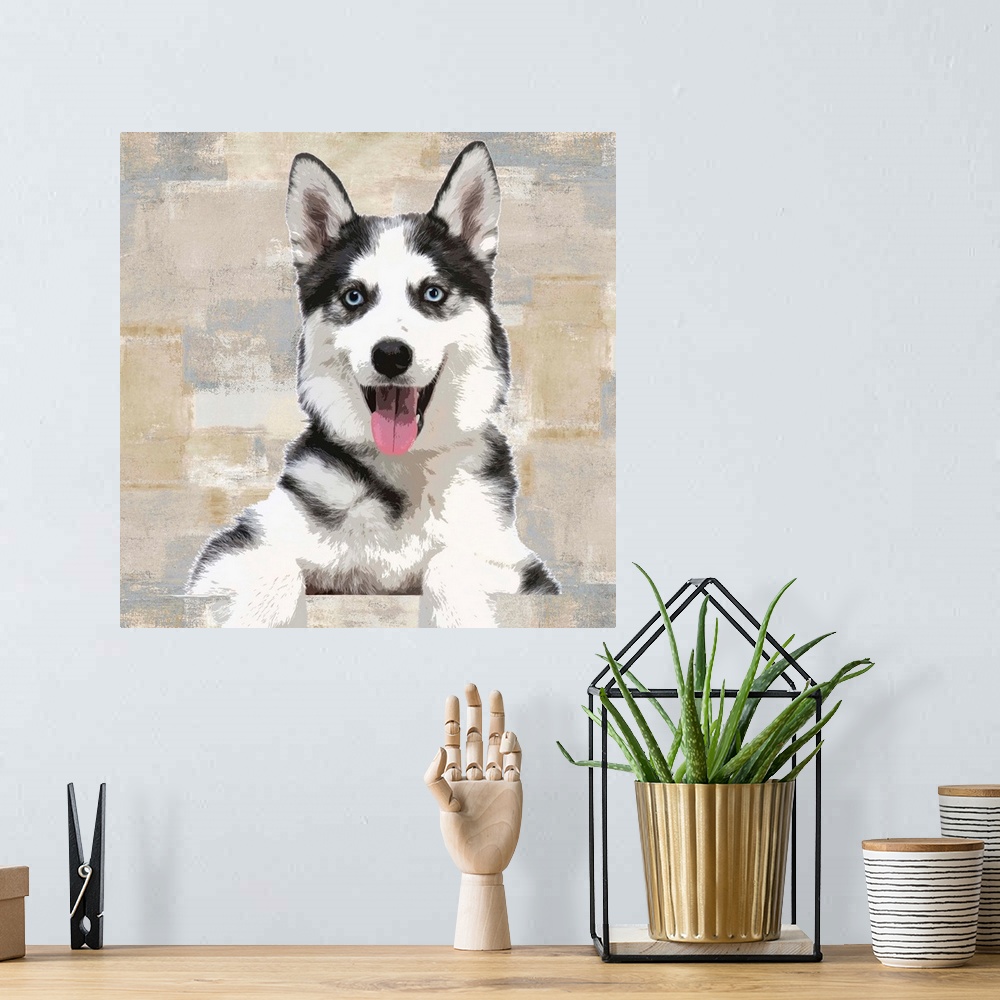 A bohemian room featuring Square decor with a portrait of a Siberian Husky on a layered gray, blue, and tan background.