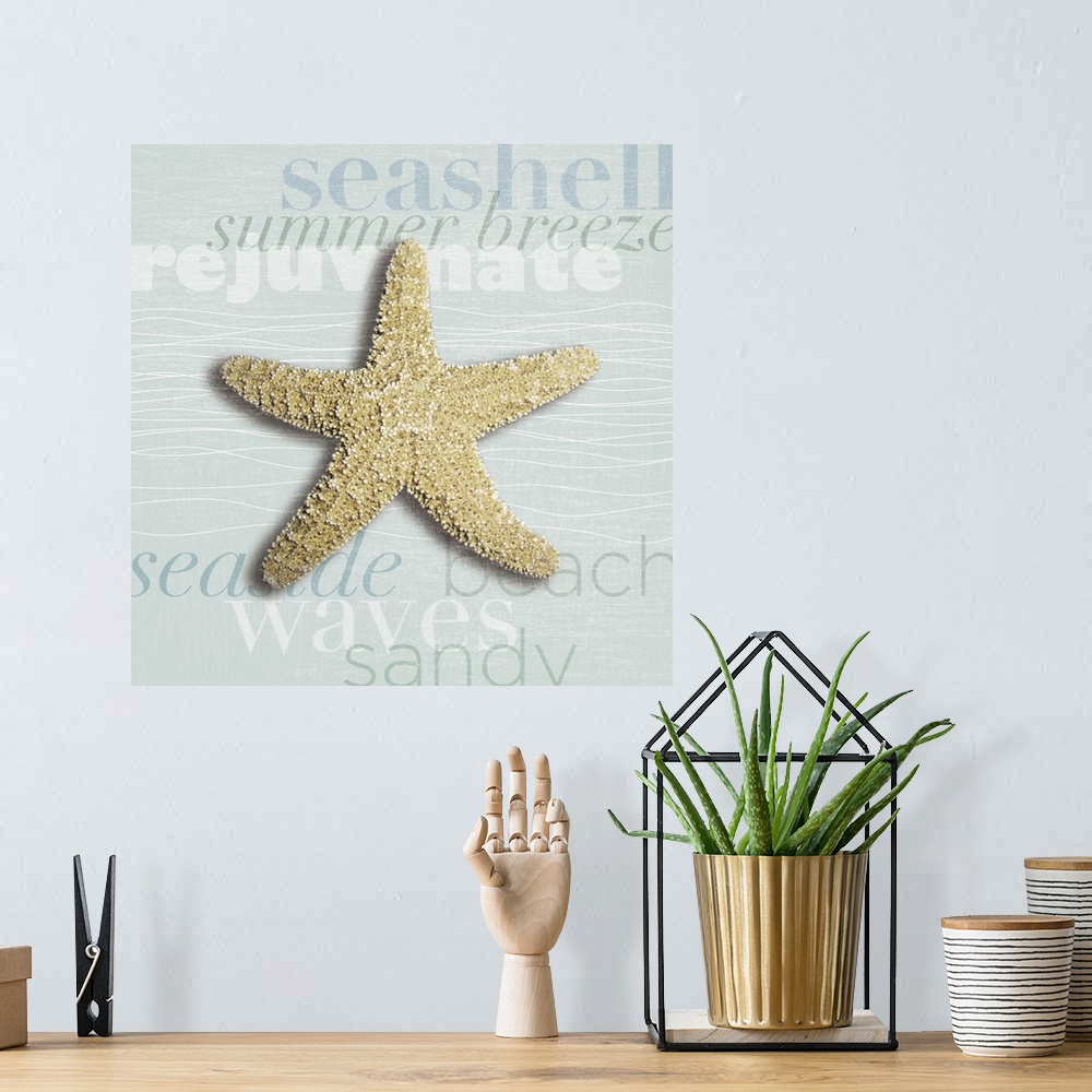 A bohemian room featuring Decorative artwork of a starfish against a light blue background with beach theme words.
