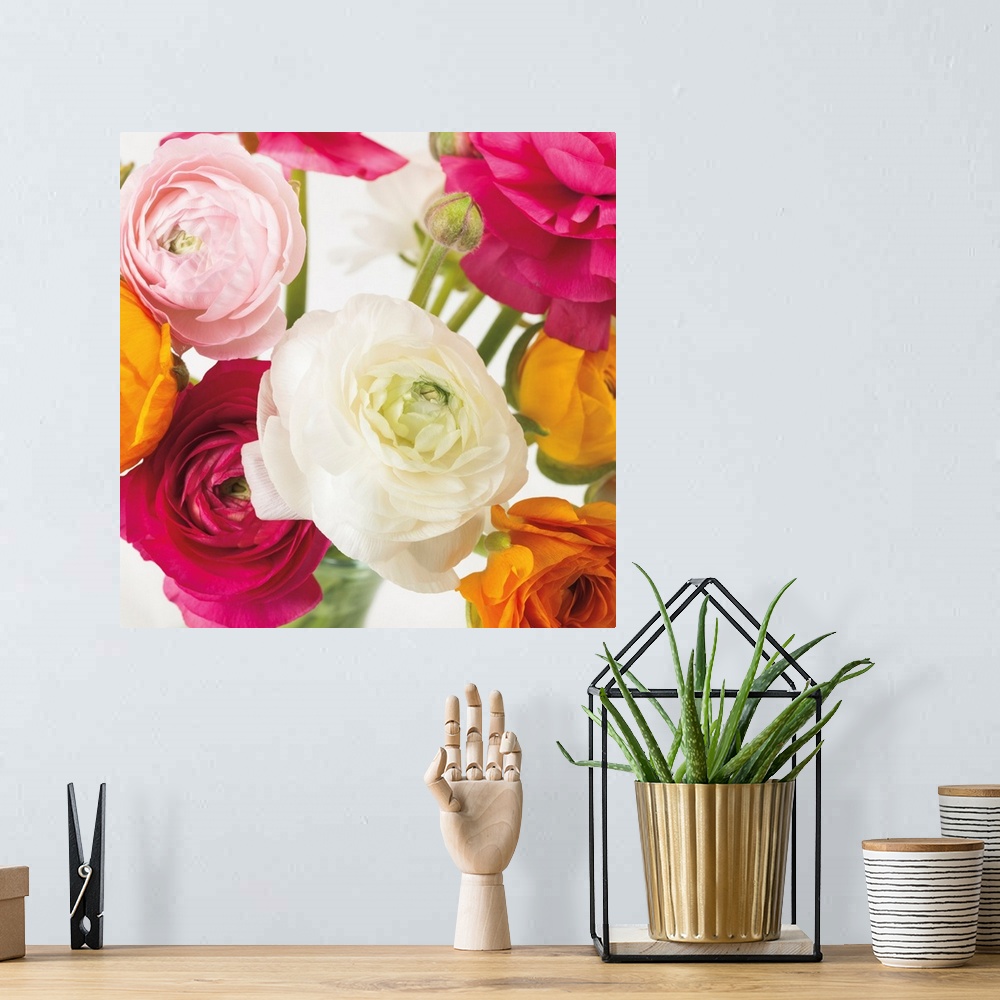 A bohemian room featuring Square photo of vibrant colored roses in shades of pink, yellow and white.