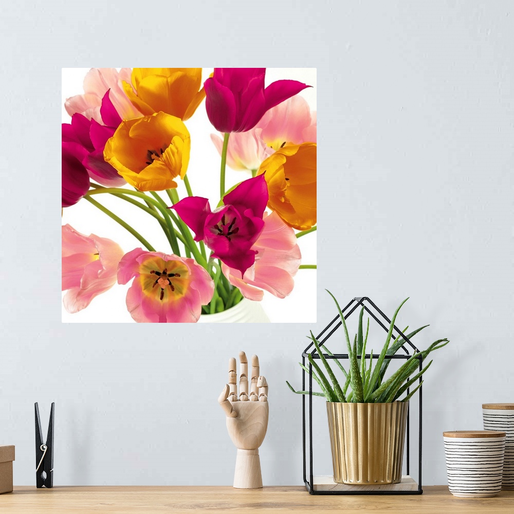 A bohemian room featuring Square photo of vibrant colored tulips in shades of pink, yellow and white.