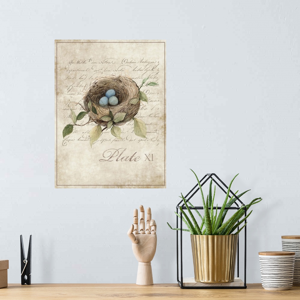 A bohemian room featuring Botanical parchment study of bird nest adds elegant, nature-inspired touch to any room.