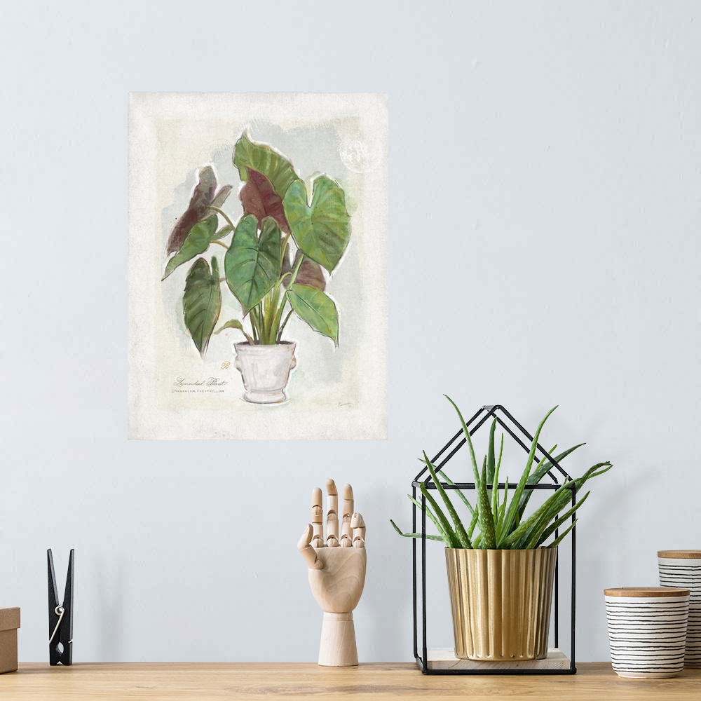 A bohemian room featuring Elegant fern art is perfect for any decor and any room!