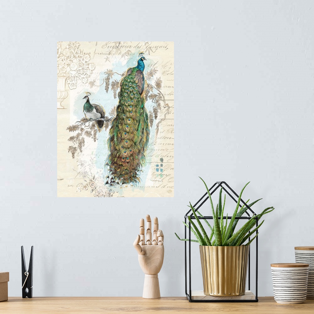 A bohemian room featuring The elegant peacock shows its plumage in this stunning depiction.