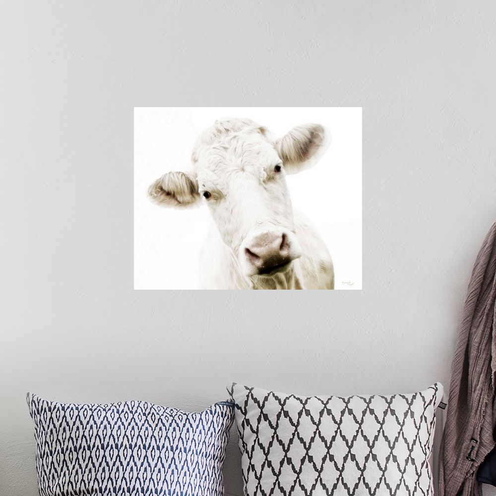 A bohemian room featuring Cow V