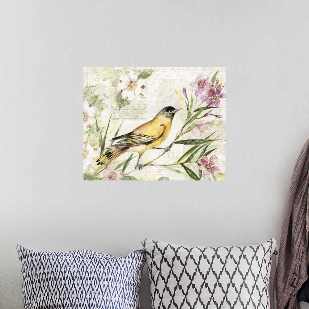 A bohemian room featuring Loose, sketchbook art treatment of the beautiful finch is lovely for any decor