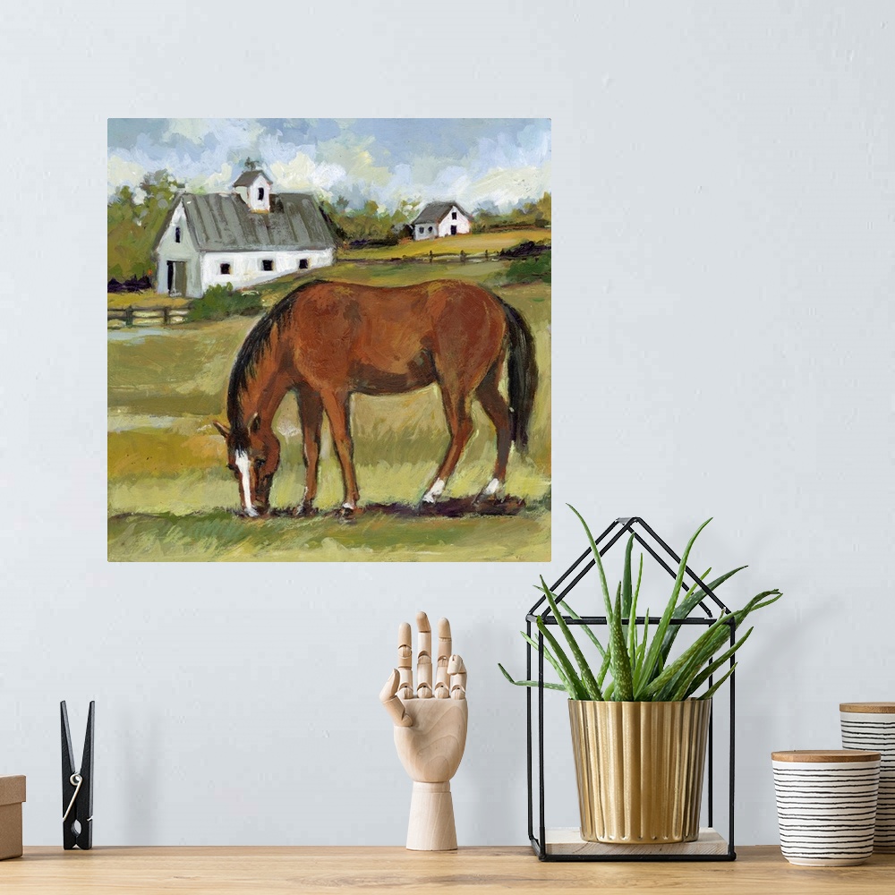 A bohemian room featuring A richly depicted horse farm features this striking Bay thoroughbred