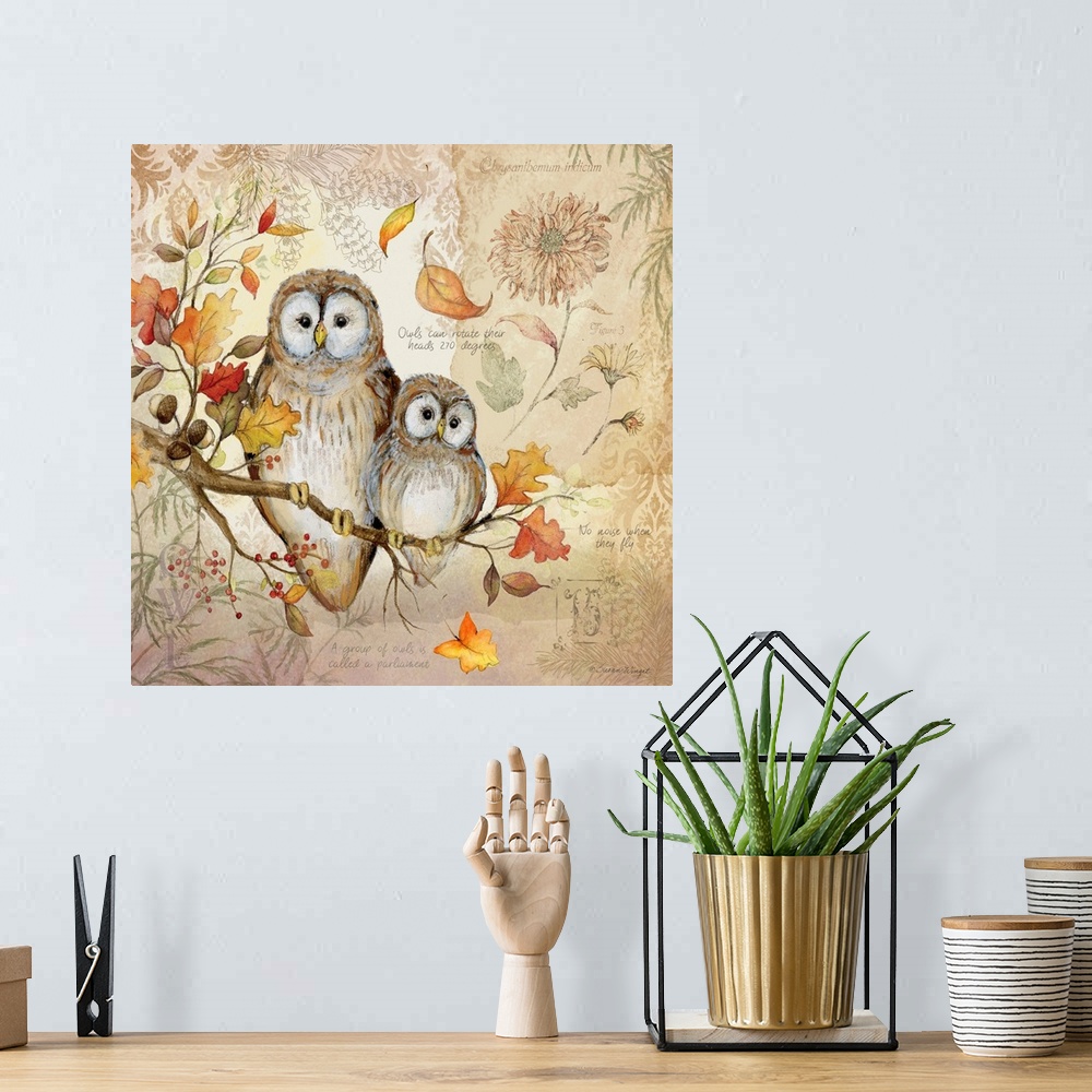 A bohemian room featuring A nature botanical featuring a woodsy owl family!