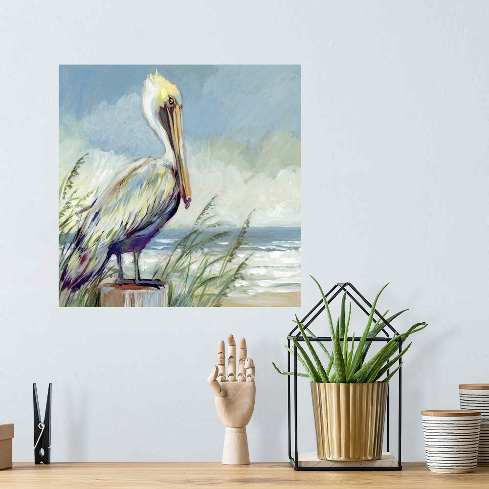 A bohemian room featuring A striking pelican sits and watches the tide.