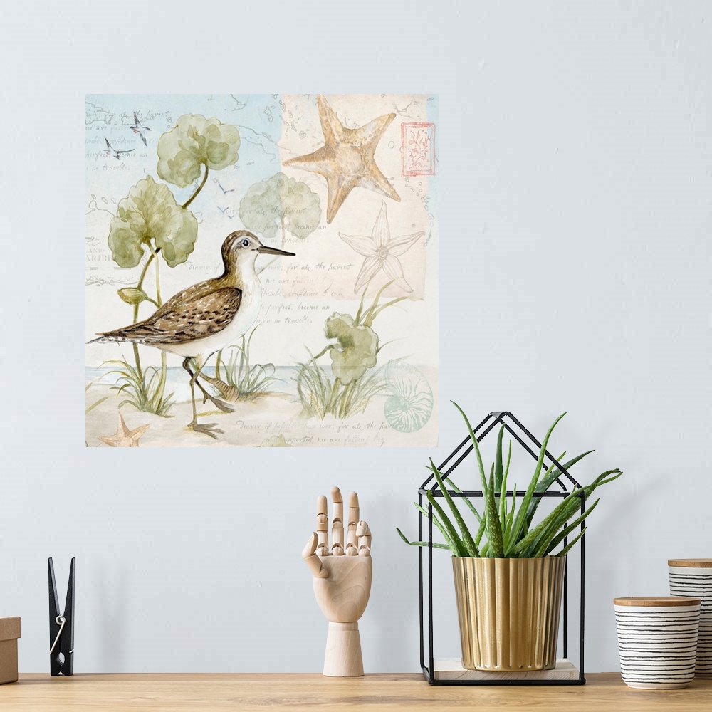 A bohemian room featuring Softly hued scene featuring the delicate sandpiper is a subtle and tasteful coastal statement.