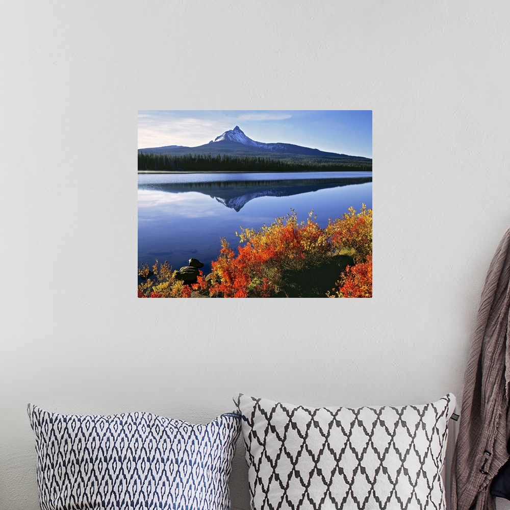 A bohemian room featuring USA, Oregon, Big Lake and Mt Washington. Huckleberry leaves are touched by the orange of autumn, ...