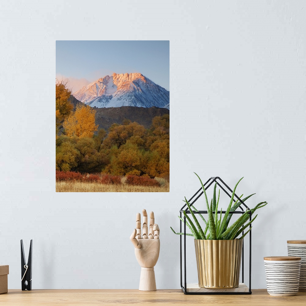 A bohemian room featuring USA, California, Sierra Nevada Mountains. Snow-covered Basin Mountain seen from the floor of the ...