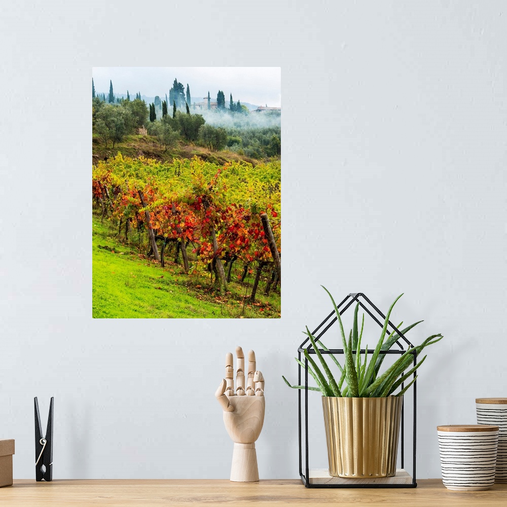 A bohemian room featuring Europe, Italy, Tuscany, Chianti, Autumn Vinyards Rows with Bright Color.