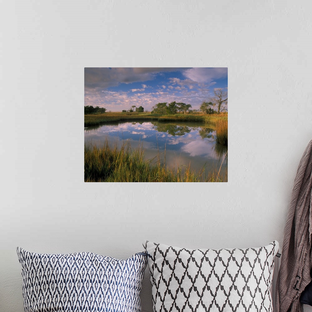 A bohemian room featuring Georgia Tybee Island, Reflection of clouds on tidal pond in morning light.