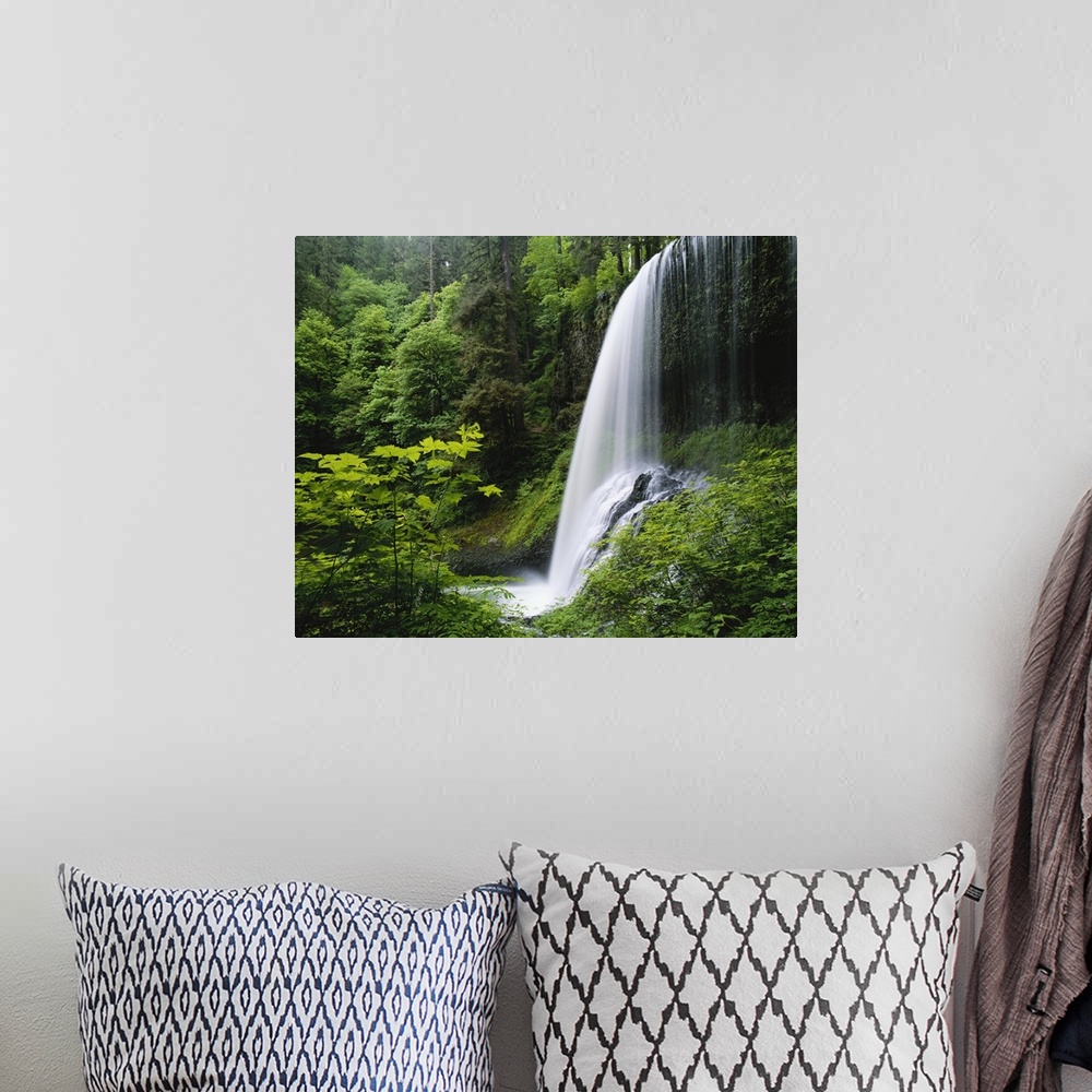 A bohemian room featuring Middle North falls, Silver Falls State Park, Oregon