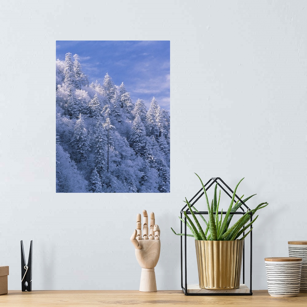 A bohemian room featuring Mountain slope covered with snow, Tennessee, Great Smoky Mountains National Park, Newfound Gap.