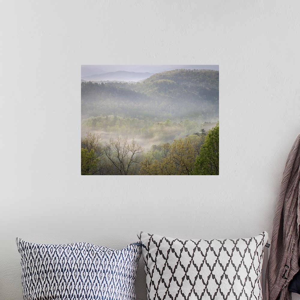 A bohemian room featuring USA, Tennessee, Smokey Mountains National Park. Sunrise mist on mountain forest.