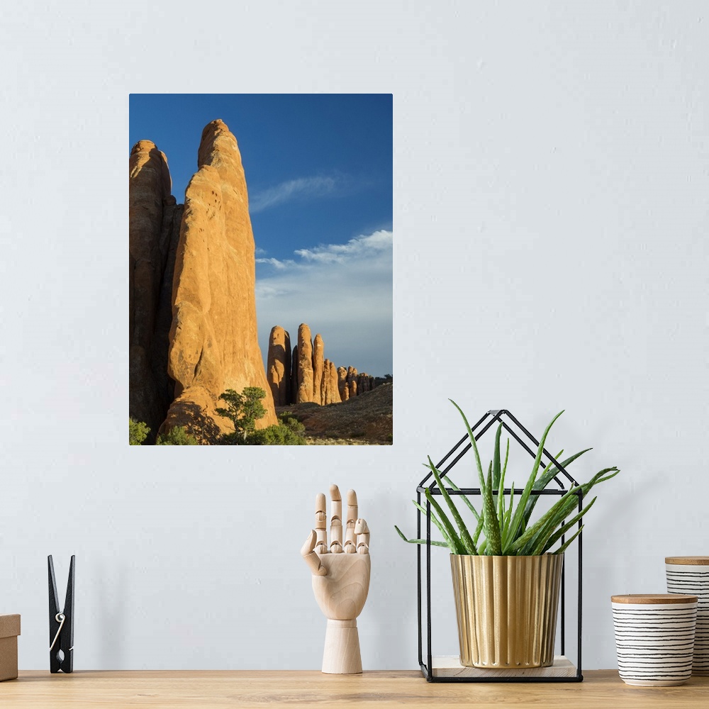 A bohemian room featuring USA, Utah. Arches National Park, Fiery Furnace Fins