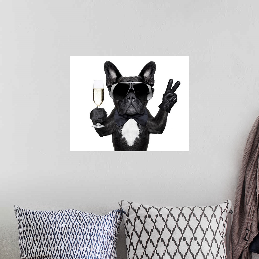 A bohemian room featuring French bulldog with a champagne glass in one hand and the peace sign in the other.