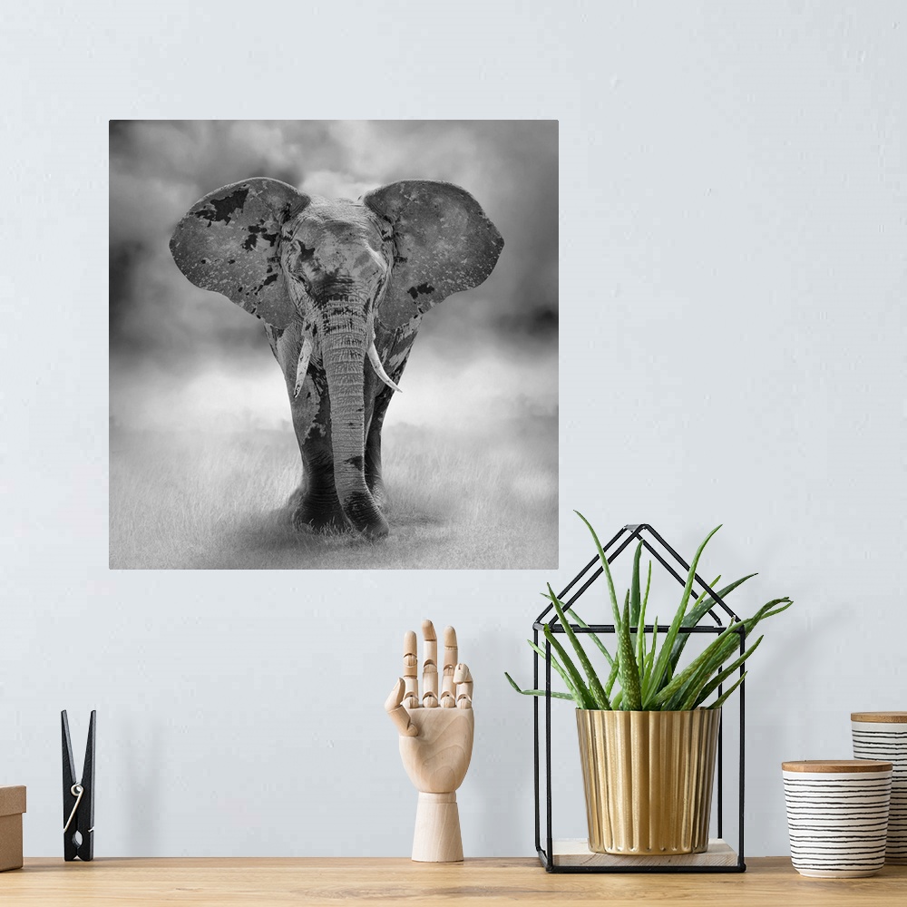 A bohemian room featuring Large elephant bull approaching (artistic processing) in Kenya, Africa.