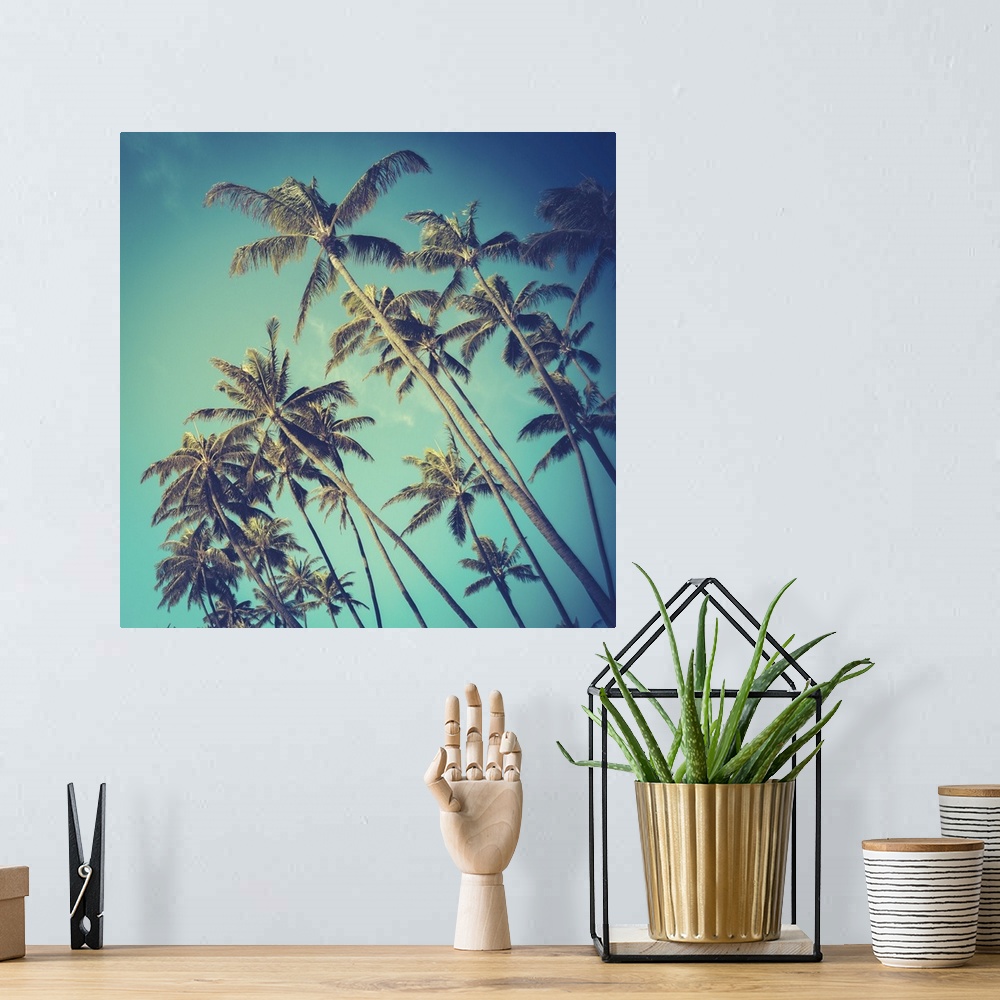 A bohemian room featuring Retro vintage style photo of diagonal palm trees in Hawaii.