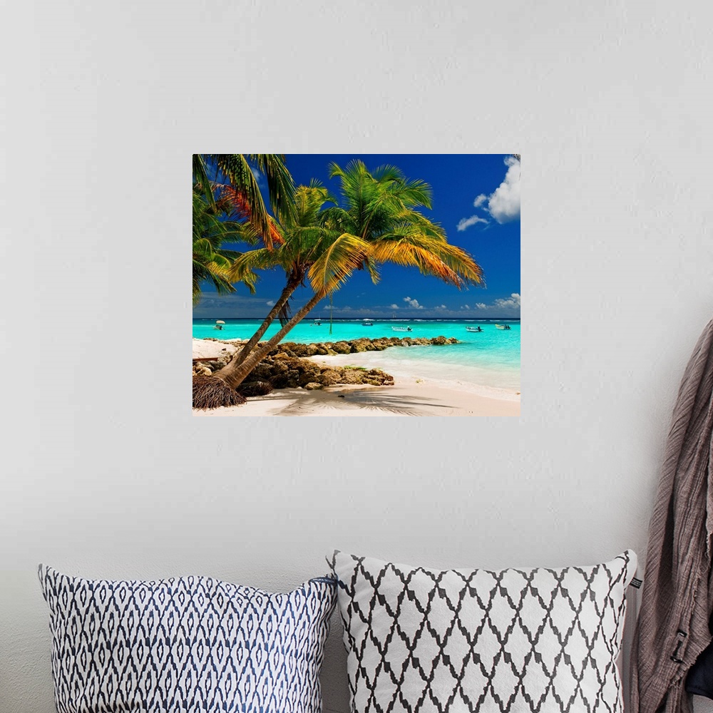 A bohemian room featuring Barbados, Caribbean, Whorthing beach
