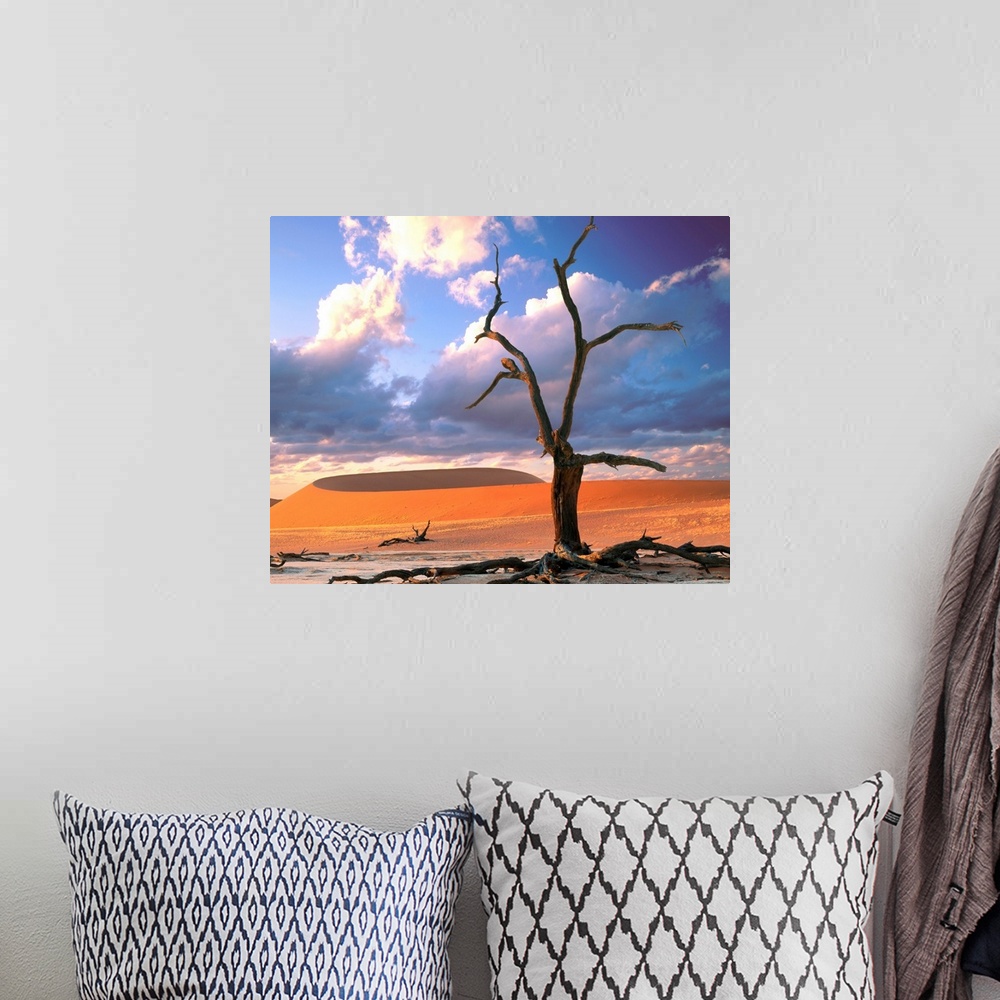 A bohemian room featuring Dunes with tree, Namibia, Naukluft Park