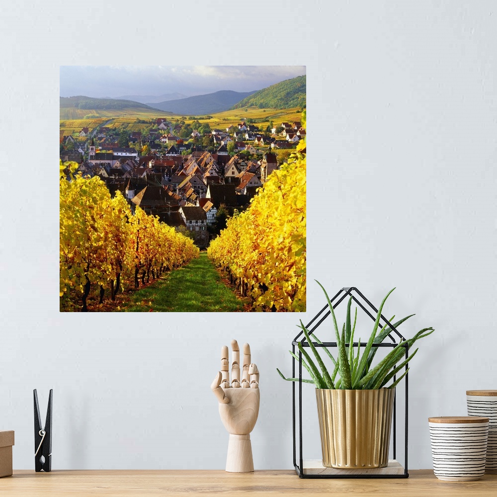 A bohemian room featuring France, Alsace, Vineyard and Riquewihr village