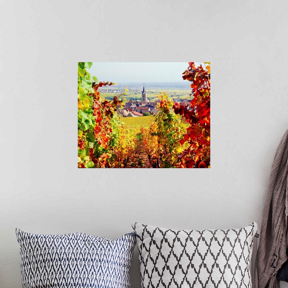 A bohemian room featuring France, Alsace, Vineyards and Rodern village