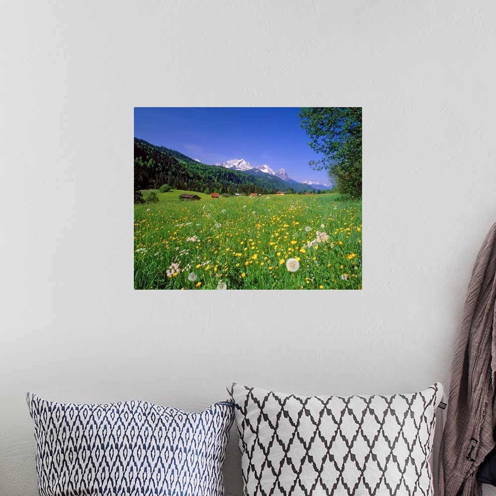 A bohemian room featuring Germany, Bavaria, Oberbayern, meadow and Zugspitze mountain range in background