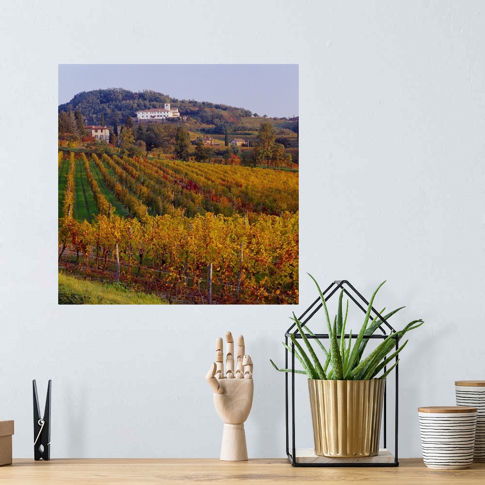 A bohemian room featuring Italy, Friuli, Collio Orientali, vineyards and Rosazzo Abbey in background