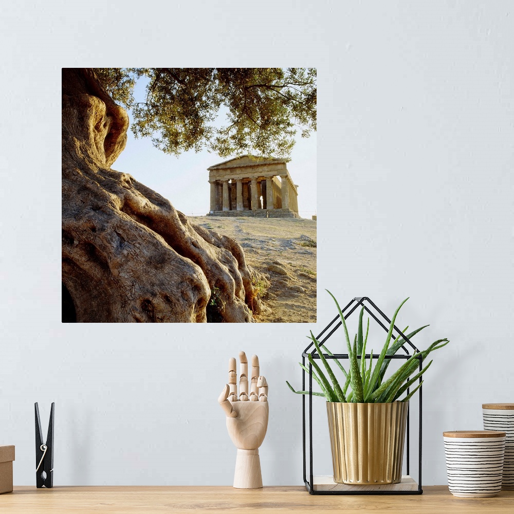 A bohemian room featuring Italy, Sicily, Agrigento, Valley of the Temples, Temple of Concordia