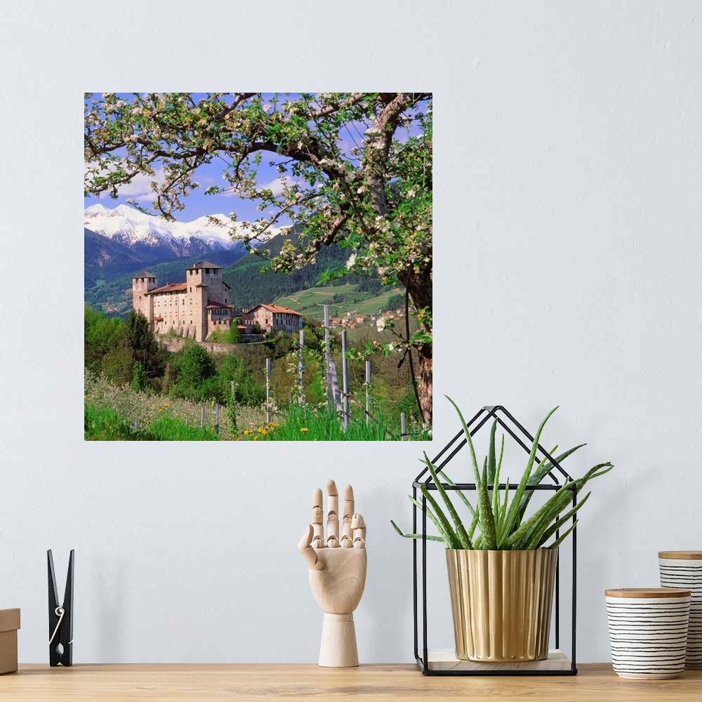 A bohemian room featuring Italy, Trentino, Apple orchard and Castel Cles