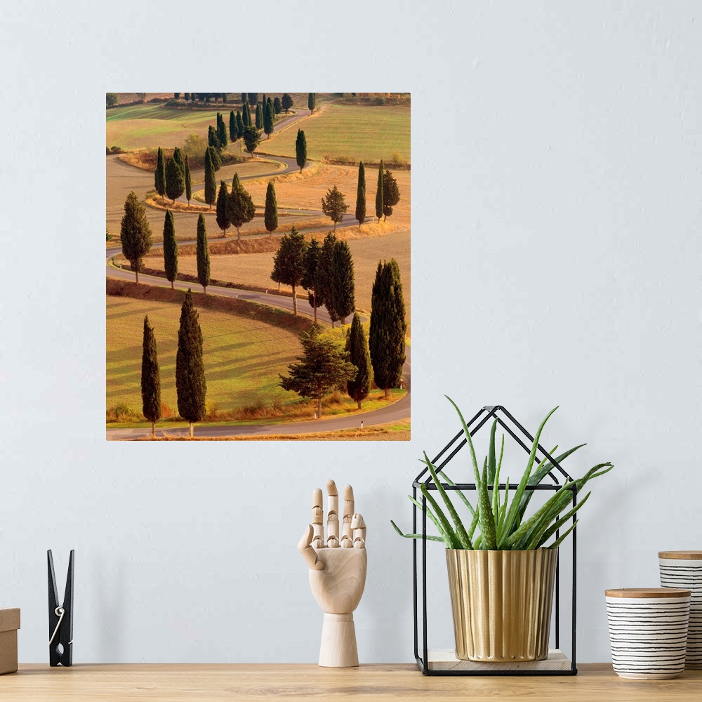 A bohemian room featuring Italy, Tuscany, Val d'Orcia, Road with cypress